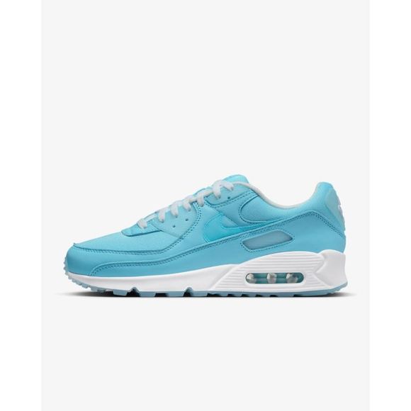 Nike Other - Nike Air Max 90 Blue Chill/Blue Chill-White FD0734-442 Men's